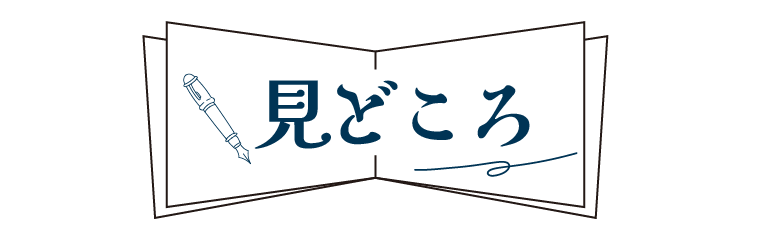 見どころ